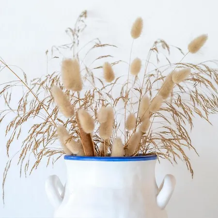 Ferienhaus Casa Garrod - Spacious Family