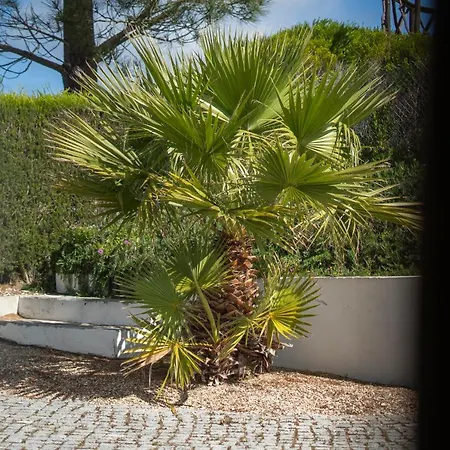 Casa Garrod - Spacious Family * Aljezur